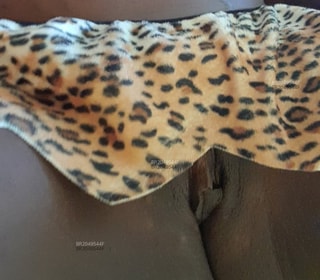 Acompanhante Pérola Negra