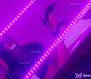 Acompanhante Sophia Ferrari