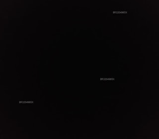 Acompanhante em Pimenta Bueno-RO - Eduarda Silva