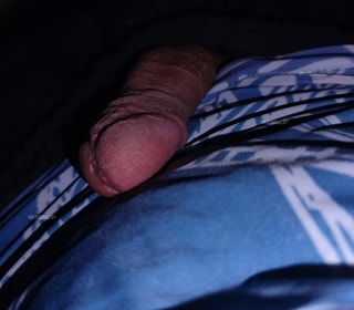 Acompanhante Corcel