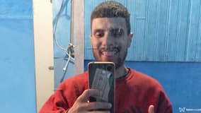 Figogato Acompanhante Figogato - Cabeçalho