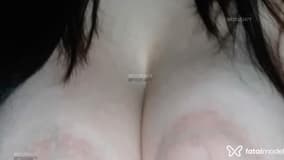 Acompanhante Vanessa - Cabeçalho