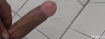 Acompanhante Pretinho do poder - Cabeçalho