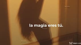 Acompanhante Thalia - Cabeçalho