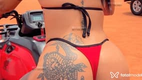 Acompanhante Laís Campos - Cabeçalho