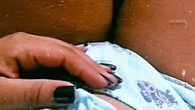 Acompanhante Elize Beeck - Cabeçalho