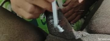 Bombomsexy Acompanhante Bombomsexy - Cabeçalho