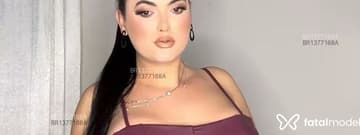 Acompanhante Luísa Bessas - Cabeçalho