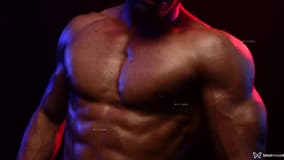 Acompanhante Gusttavo eicke - Cabeçalho