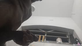 Acompanhante Pretin black - Cabeçalho