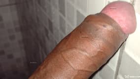 Pretoluxuoso Acompanhante Pretoluxuoso - Cabeçalho