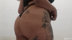 Acompanhante Fanny - Cabeçalho