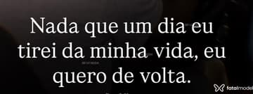 Amado Acompanhante Amado - Cabeçalho
