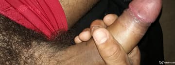 Acompanhante Junior - Cabeçalho