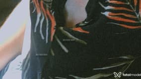 Acompanhante Robert - Cabeçalho