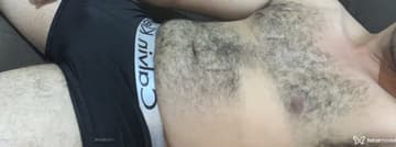 Acompanhante Urso Peludo  - Cabeçalho