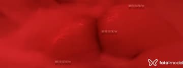 Acompanhante Bonecasexy - Cabeçalho