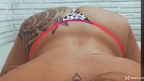 Acompanhante Beatriz - Cabeçalho