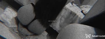 Acompanhante Nicole - Cabeçalho