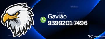 Gavião Acompanhante Gavião - Cabeçalho