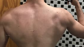 Acompanhante Piter Capelec - Cabeçalho