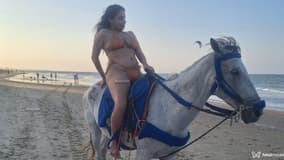Acompanhante Larissa cortez - Cabeçalho