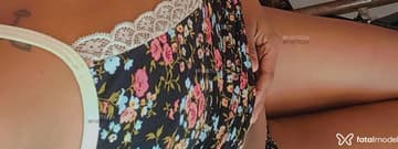 Luluzinha Acompanhante Luluzinha - Cabeçalho