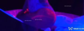 Acompanhante Morena - Cabeçalho