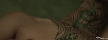 Acompanhante Boytatuado - Cabeçalho