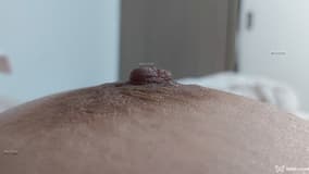 Acompanhante Julia - Cabeçalho