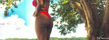 Acompanhante Morena - Cabeçalho