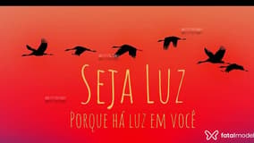 Acompanhante Patrícia - Cabeçalho