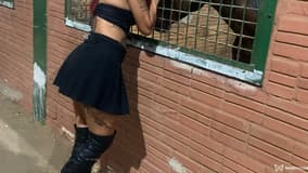 Morena Blindada Acompanhante Morena Blindada - Cabeçalho