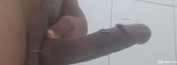 Acompanhante Gustavo Oliver - Cabeçalho