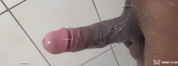Acompanhante Neguinho paulista - Cabeçalho