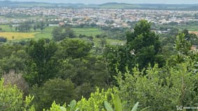 Tiaguinho Acompanhante Tiaguinho - Cabeçalho
