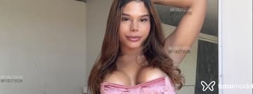 Acompanhante Beatriz - Cabeçalho