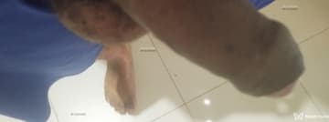 Acompanhante Half - Cabeçalho