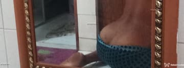 Acompanhante Will silva - Cabeçalho