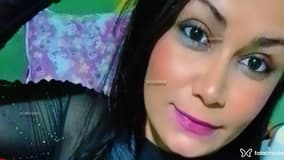Acompanhante Babycat - Cabeçalho
