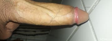 Acompanhante Andres Felipe - Cabeçalho