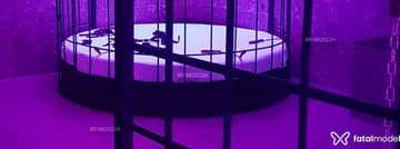 Acompanhante BELLA MISTRESS - Cabeçalho