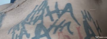 Acompanhante Artur Henrique - Cabeçalho