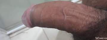 Acompanhante Luis - Cabeçalho