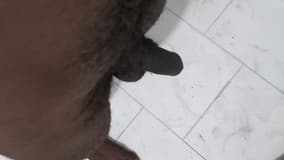 Acompanhante Pretinho Goxtoso - Cabeçalho