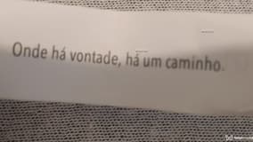Acompanhante Patrícia - Cabeçalho