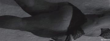 Acompanhante Angelina - Cabeçalho