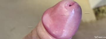 Acompanhante Mineirocomequeto - Cabeçalho