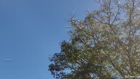 Acompanhante Feiticeiraa - Cabeçalho