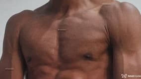 Acompanhante Paulo - Cabeçalho
